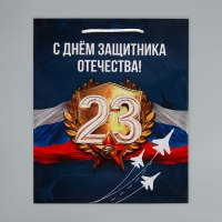 Пакет подарочный ламинированный, упаковка, «Защитник Отечества», ML 21 х 25 х 8 см