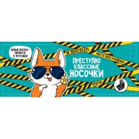 Подарочные носки в банке «Преступно классные», (внутри носки мужские, цвет чёрный)