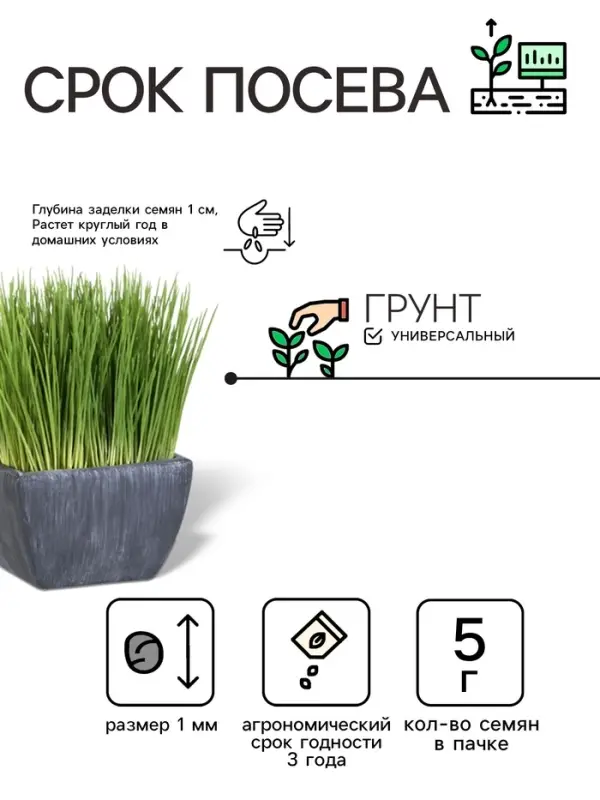 Семена Трава для кошек &laquo;Лиза-Подлиза&raquo;, 5 г, &laquo;УРОЖАЙ УДАЧИ&raquo;