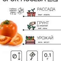 Семена Томат &laquo;Хурма&raquo;, 0.1 г, &laquo;Рецепты дедушки Никиты&raquo;