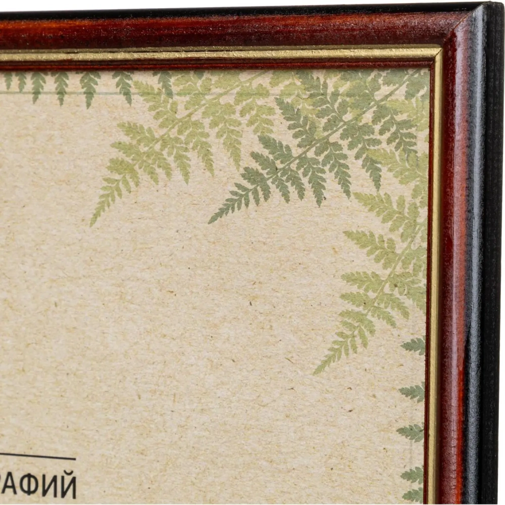 Рамка А4 21x30 см Комус/ATTACHE деревянный багет 17мм коньяк