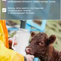 Бутылка для выпойки телят, 2 л, с ручкой, с крышкой, пластик, белая