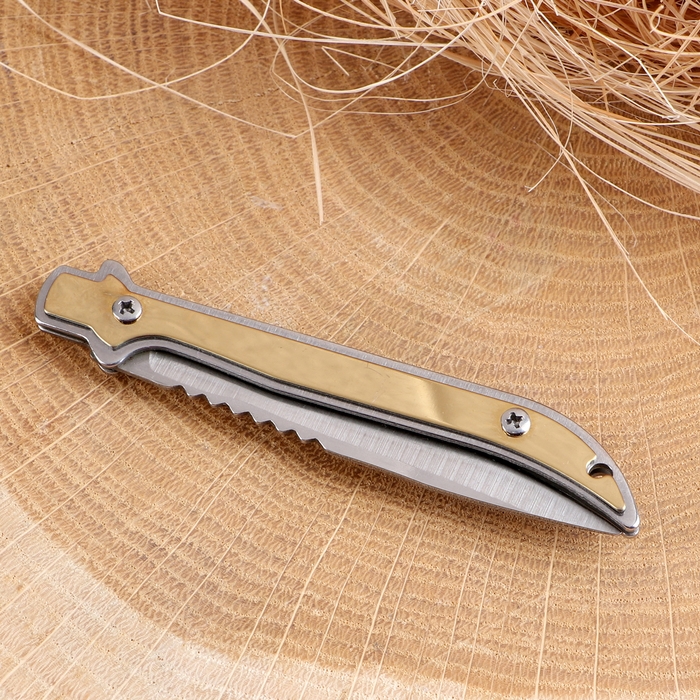 Нож складной Нож складной "Дракон" 14,9 см, клинок 62мм/1мм, песочный