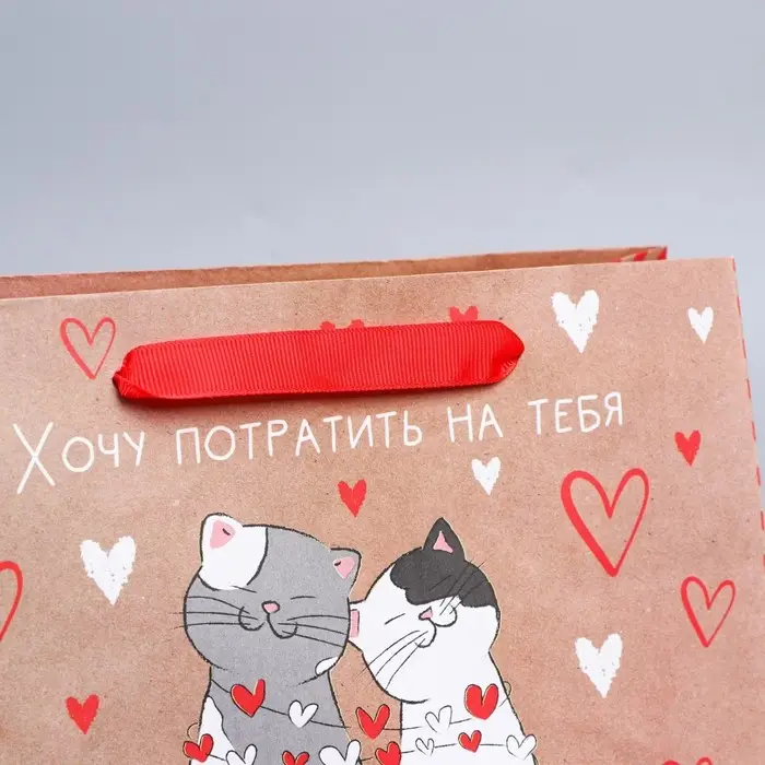 Пакет подарочный крафтовый, упаковка, «Потрачу девять жизней», MS 18 х 23 х 8 см Пакет подарочный крафтовый, упаковка, «Потрачу девять жизней», MS 18 х 23 х 8 см