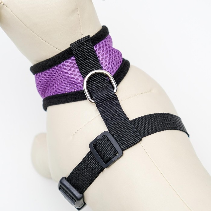 Шлейка мягкая из неопрена, размер XL, ОШ 42 см, ОГ 38-50 см, фиолетовая Шлейка мягкая из неопрена, размер XL, ОШ 42 см, ОГ 38-50 см, фиолетовая