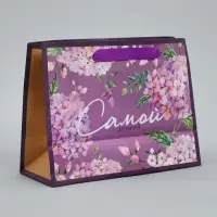 Пакет подарочный крафтовый, упаковка, &laquo;Самой лучшей&raquo;, MS 23 х 18 х 10 см