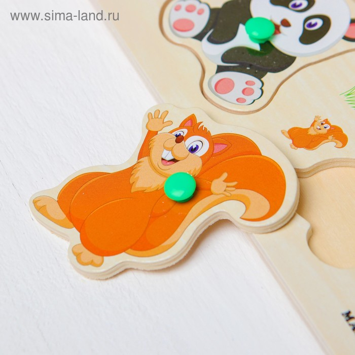 Рамка-вкладыш «Дикие животные»