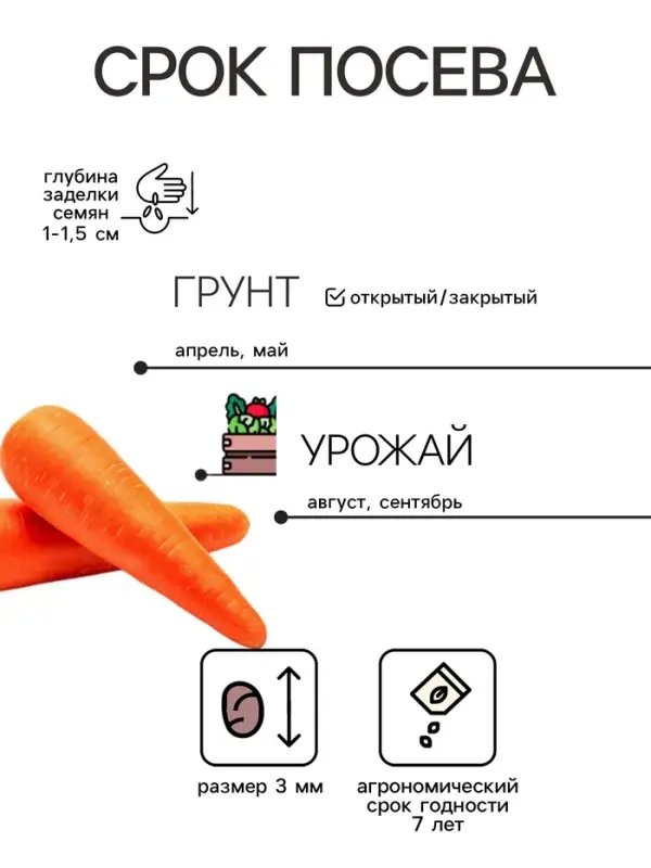Семена на ленте Морковь &laquo;Нантская 4&raquo;, 8 м, &laquo;Росток-гель&raquo;