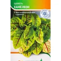 Семена Щавель "Хамелеон" 0,1 г Семена Щавель "Хамелеон" 0,1 г