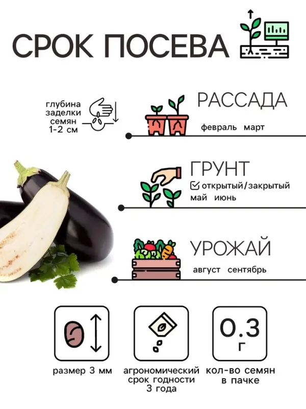 Семена Баклажан &laquo;Универсал 6&raquo;, 0.1 г, &laquo;Рецепты дедушки Никиты&raquo;
