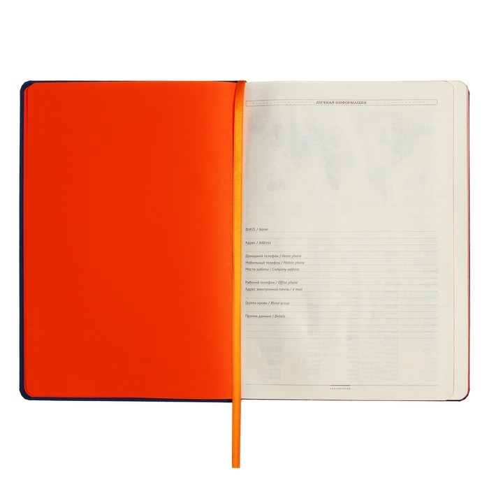 Ежедневник недатированный В5, 136 листов Leggenda, твёрдая обложка, искусственная кожа, синий