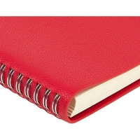 Ежедневник недатированный А5 ALBA красный, 136л 3-783/05