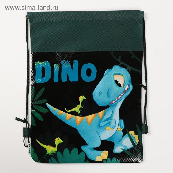 Мешок для обуви «Дино» 41×30 см Мешок для обуви «Дино» 41×30 см