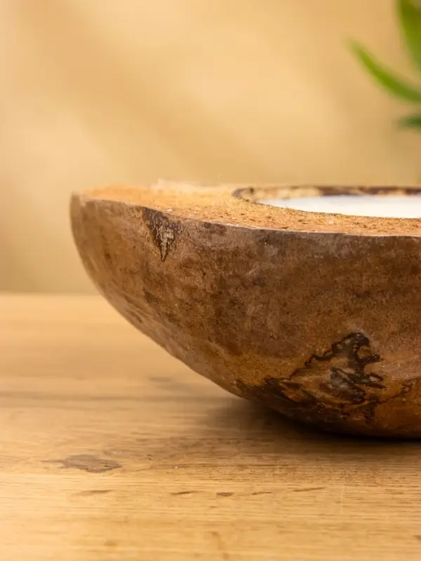 Свеча в кокосе, 18×22×7 см, коричневая