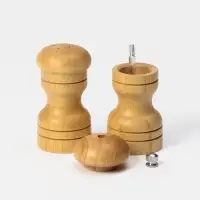 Набор для специй Доляна &laquo;Комфорт&raquo;, 50 мл, 11&times;10&times;5 см, 2 предмета: мельница, солонка