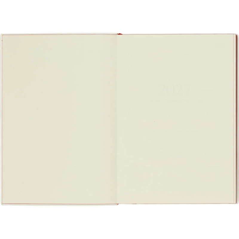 Ежедневник датированный 2027 IF 140x200мм 176л мягк Дереза I1938/white