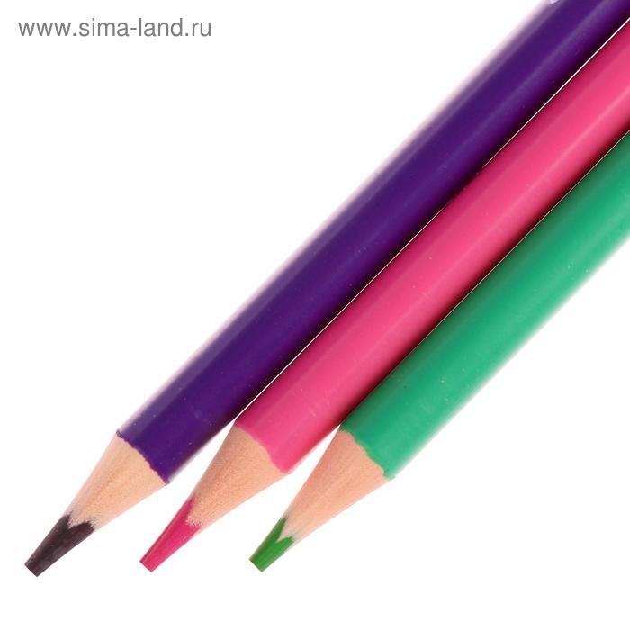 Карандаши цветные 12 цветов Funcolor пластиковые, в картонной тубе, МИКС Карандаши цветные 12 цветов Funcolor пластиковые, в картонной тубе, МИКС