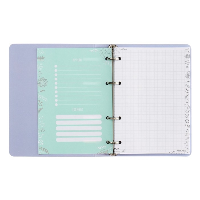 Тетрадь на кольцах А5, 100 листов в клетку Meshu Neko, обложка мелованный картон, матовая ламинация, тиснение фольгой