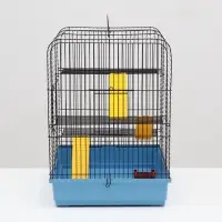 Клетка для грызунов "Сеня 3-1", 49&times;36&times;51 см, цвет МИКС