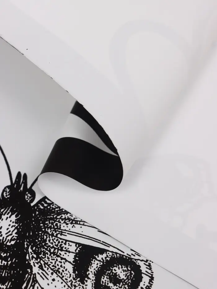 Пленка для цветов, "Бабочки и сердца", 57х57 см