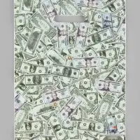 Пакет &laquo;Деньги&raquo;, полиэтиленовый с вырубной ручкой, 30&times;40 см, 60 мкм