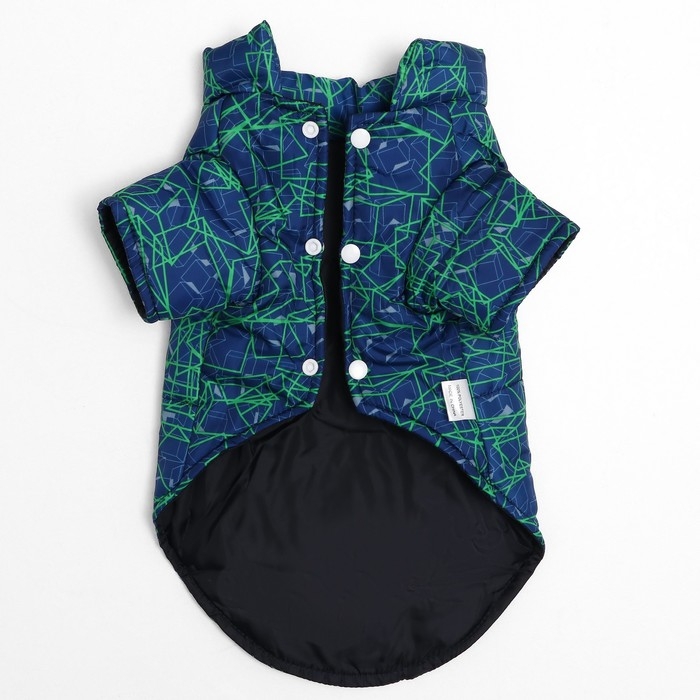 Куртка для собак  Куртка для собак "Матрица", размер 8, сине-зелёная (ДС 23, ОШ 26, ОГ 32 см)