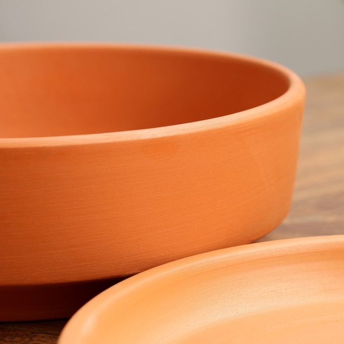 Горшок бонсайница Горшок бонсайница "Огма" для кактусов и суккулентов, терракот, 3 л