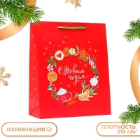 Новый год. Пакет подарочный "Новгоднее украшение", 26 х 32 х 12 см.