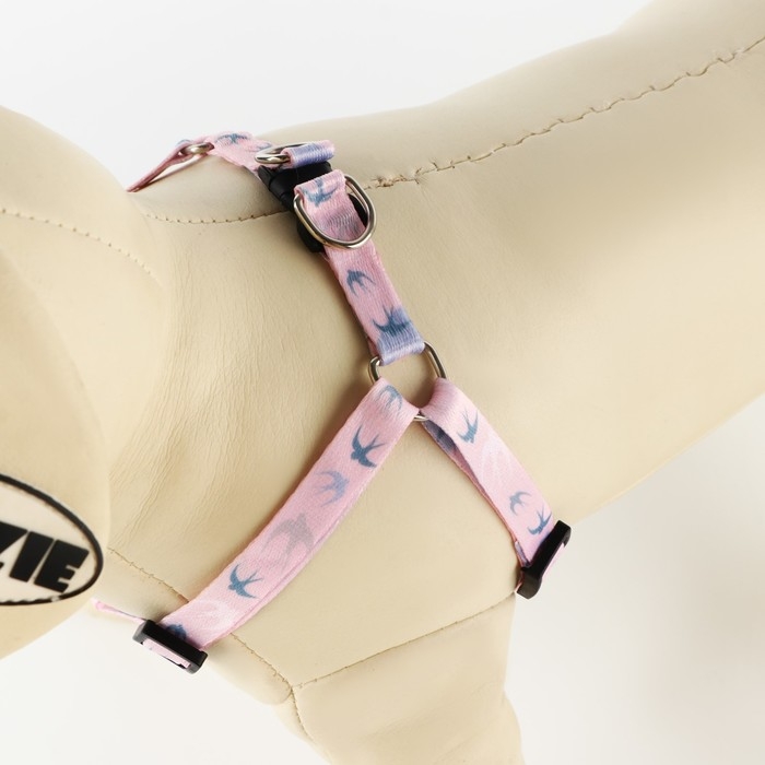 Комплект «Ласточки», шлейка 24-36 см, поводок 120х1 см