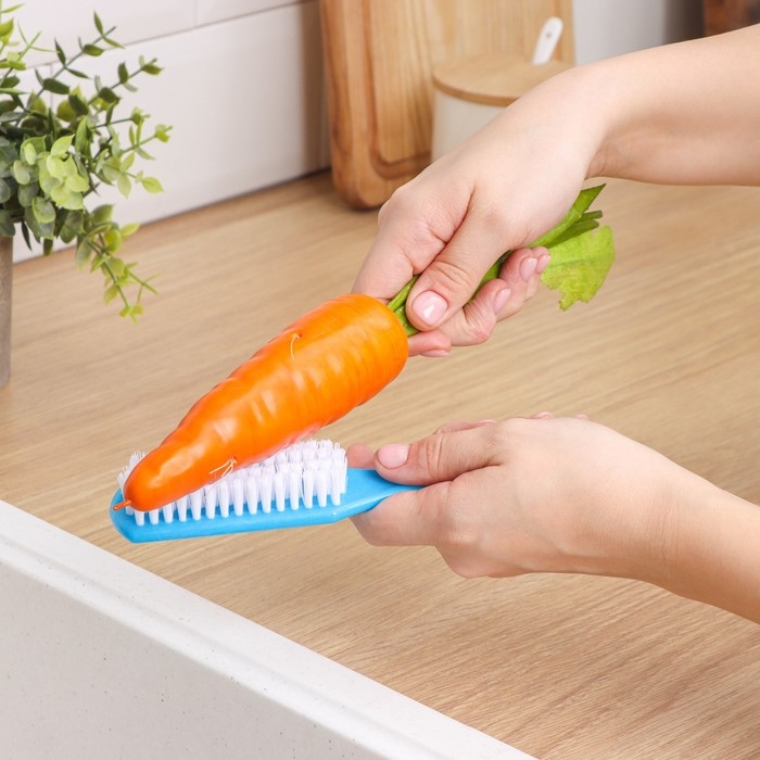 Щётка для овощей и фруктов с ручкой Доляна, 17×3,3×2 см, цвет МИКС Щётка для овощей и фруктов с ручкой Доляна, 17×3,3×2 см, цвет МИКС