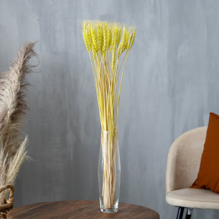 Сухой колос пшеницы, набор 50 шт., цвет жёлтый Сухой колос пшеницы, набор 50 шт., цвет жёлтый