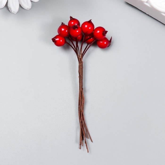 Декор для творчества Декор для творчества "Ягодки красные" 1 букет=10 ягод d=1 см 10 см