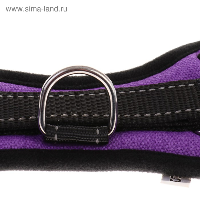 Шлейка К7 мягкая светоотражающая, размер S, ОГ 44-55 см, вес 5-9 кг, фиолетовая Шлейка К7 мягкая светоотражающая, размер S, ОГ 44-55 см, вес 5-9 кг, фиолетовая