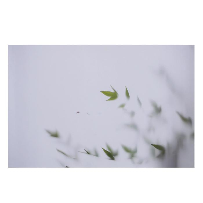 Фотофон двусторонний бумага 300 гр Фотофон двусторонний бумага 300 гр "Тень и листья" 57х87 см