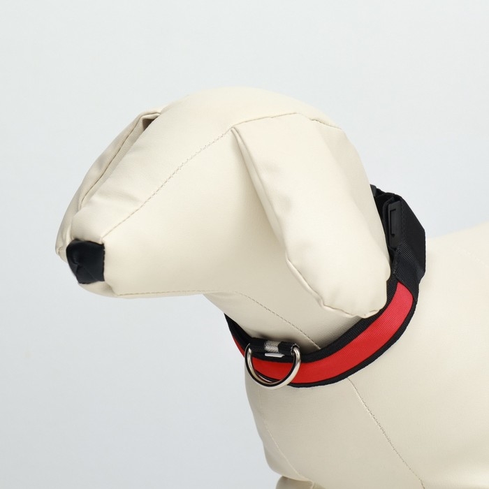 Ошейник с подсветкой Flash 3 режима свечения, размер S, ОШ 35-43 х 2,5 см красный Ошейник с подсветкой Flash 3 режима свечения, размер S, ОШ 35-43 х 2,5 см красный