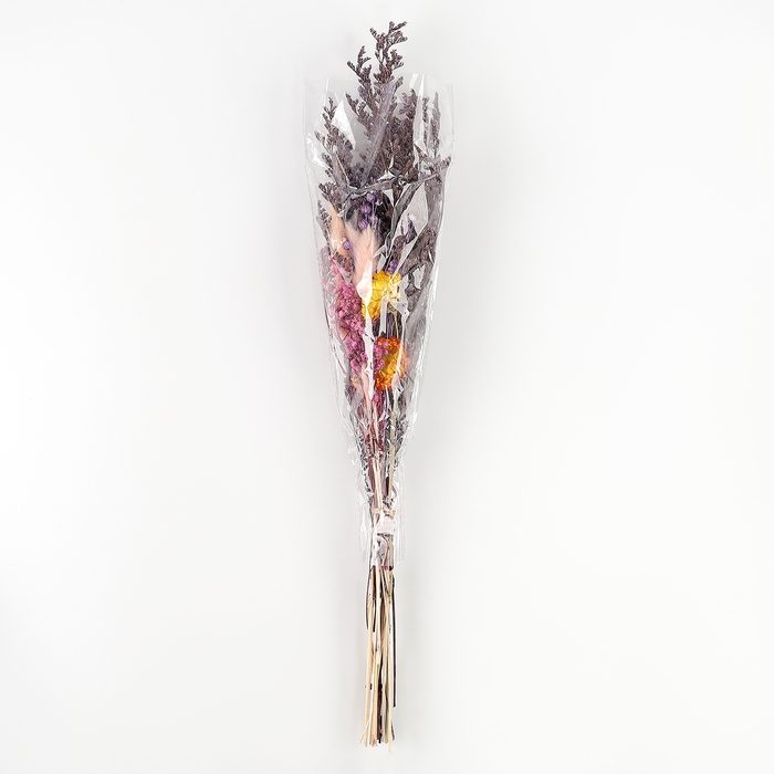 Букет из сухоцветов «Яркие краски», 52 × 12 × 8 см Букет из сухоцветов «Яркие краски», 52 × 12 × 8 см