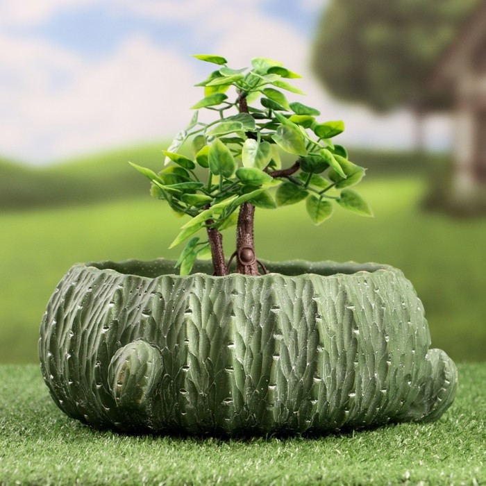 Кашпо - бонсай  Кашпо - бонсай "Кактус" 25х11см