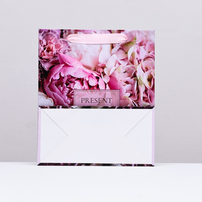 Пакет ламинированный вертикальный PRESENT, 23 х 27 х 11,5 см Пакет ламинированный вертикальный PRESENT, 23 х 27 х 11,5 см