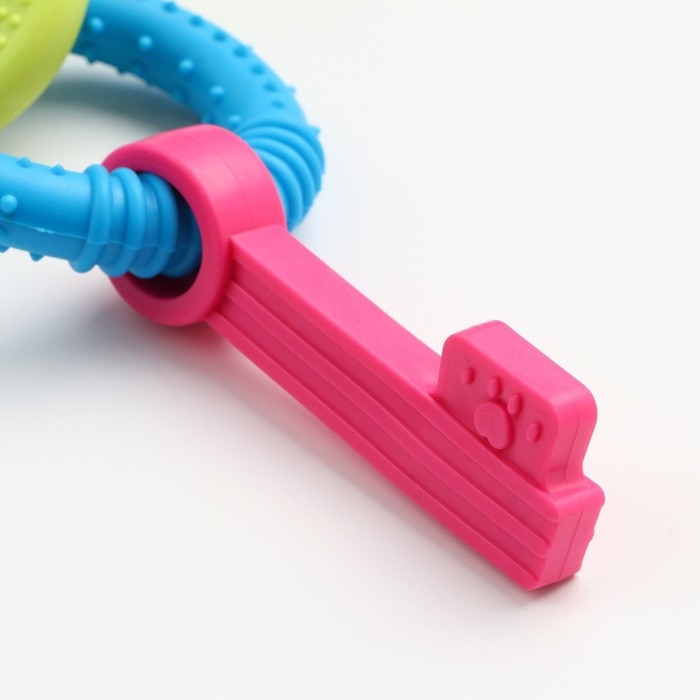 Игрушка жевательная Игрушка жевательная "Всегда вместе!", TPR, 18,5 см, ладошка/круг/ключ