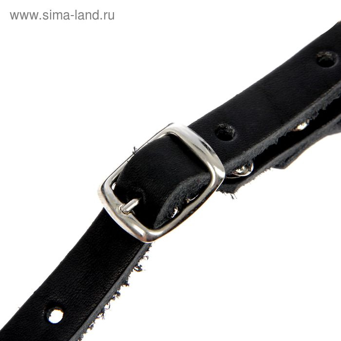 Намордник кожаный сетчатый с перемычкой №4,ротвейлер(длина по носу 9 см, обхват морды 34 см), Намордник кожаный сетчатый с перемычкой №4,ротвейлер(длина по носу 9 см, обхват морды 34 см),