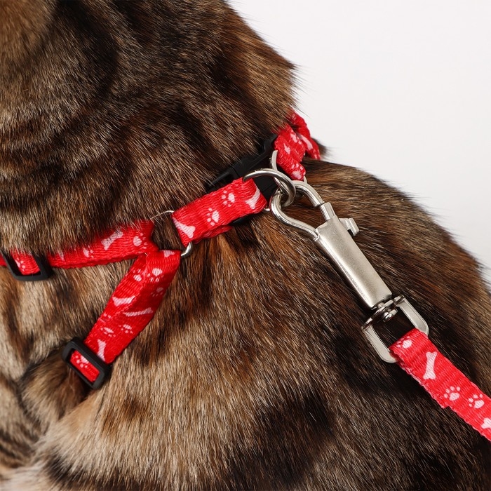 Комплект  Комплект "Классика", капрон, поводок 120 х 1 см, ОГ 21-35 см, красный