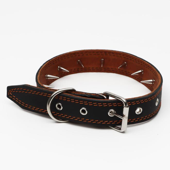 Ошейник кожаный Ошейник кожаный "Строгий шип", 70 х 3,5 см, ОШ 45-60 см, чёрный