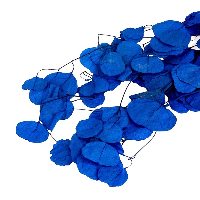 Сухоцвет персикого дерева, 50 г, длина — 70 см, цвет синий Сухоцвет персикого дерева, 50 г, длина — 70 см, цвет синий