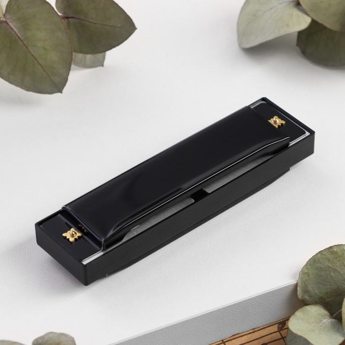 Губная гармошка Bee DF10A Black, 10 отверстий, 20 язычков Губная гармошка Bee DF10A Black, 10 отверстий, 20 язычков