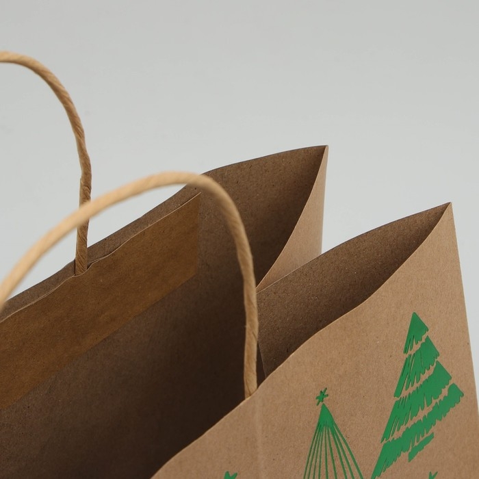 Пакет подарочный новогодний крафтовый Forest, 32 х 28 х 15 см, Новый год Пакет подарочный новогодний крафтовый Forest, 32 х 28 х 15 см, Новый год