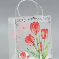 Пакет подарочный прозрачный, "Тюльпаны", 22 х 10 х 24 см