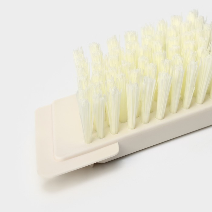 Щётка универсальная Raccoon Breeze, в одном корпусе со скребком, 14 см, цвет МИКС Щётка универсальная Raccoon Breeze, в одном корпусе со скребком, 14 см, цвет МИКС