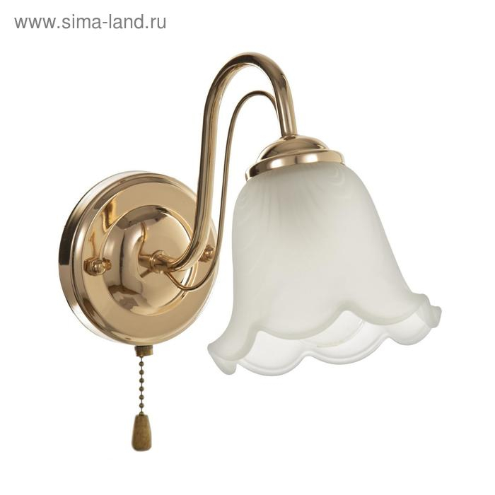 Бра 3905-165/1 40Вт E27 золото