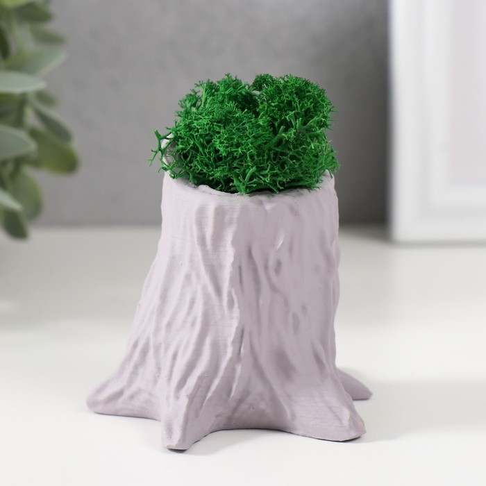 Кашпо бетонное Кашпо бетонное "Пенек" 7,5х8,5х7 см серый со мхом (мох зеленый стабилизированный)