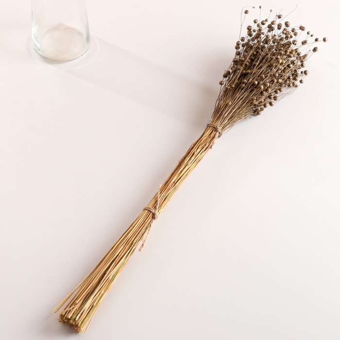 Набор сухоцветов Набор сухоцветов "Лён-долгунец", банч длина 55-60 (+/- 6 см), бронза